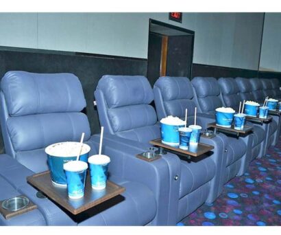 Multiplex Recliners 005